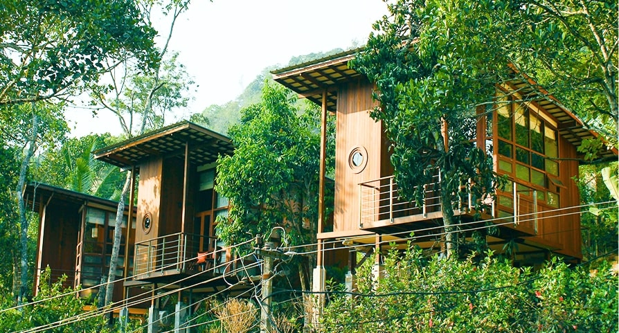 Mountain View Cottages