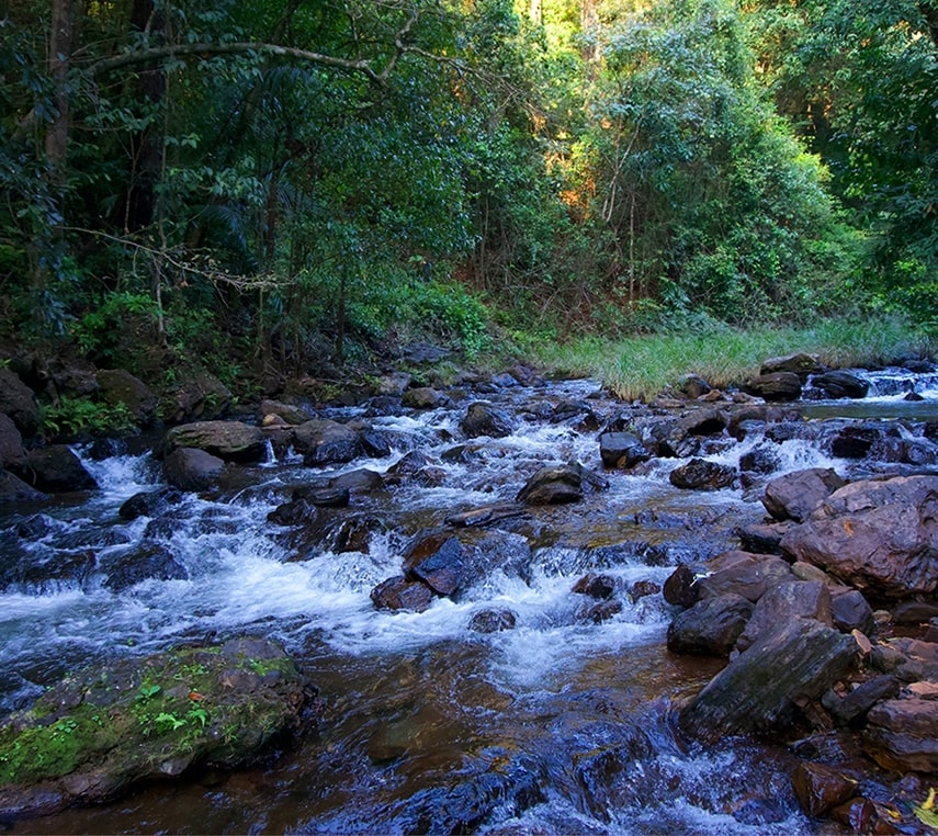 Ayurvedic Water Healing