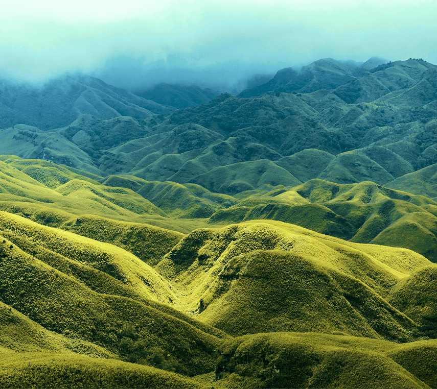 Dzukou Valley – The Valley of Flowers