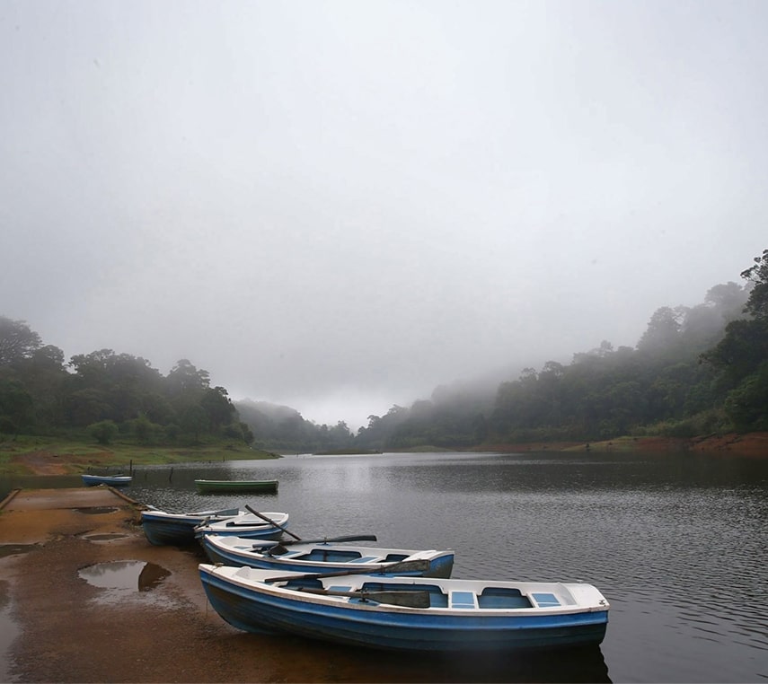 Periyar Lake & Bamboo Rafting Adventure