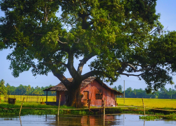 Serenity on the Backwaters