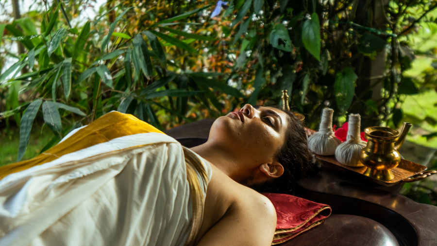 Ayurvedic and Wellness Programs