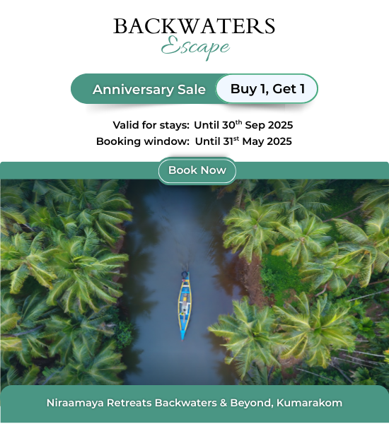 Earth Wellness Retreats