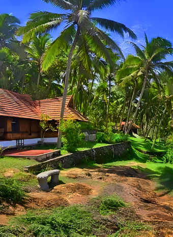 Pride Paradise Getaway