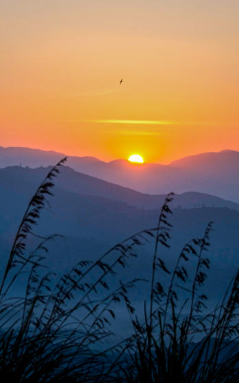 Wellness by the Hills