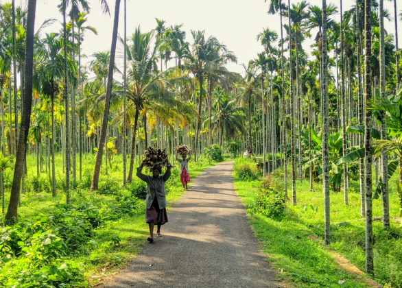 Explore Village