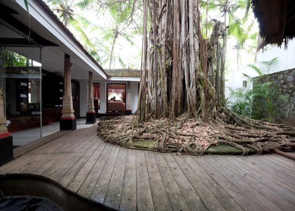 Serenity At The Banyan Tree Bungalow