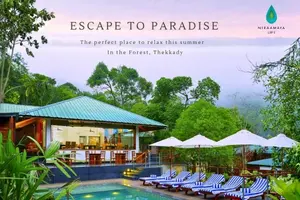 Escape the Heat: Best Summer Destinations in Kerala
