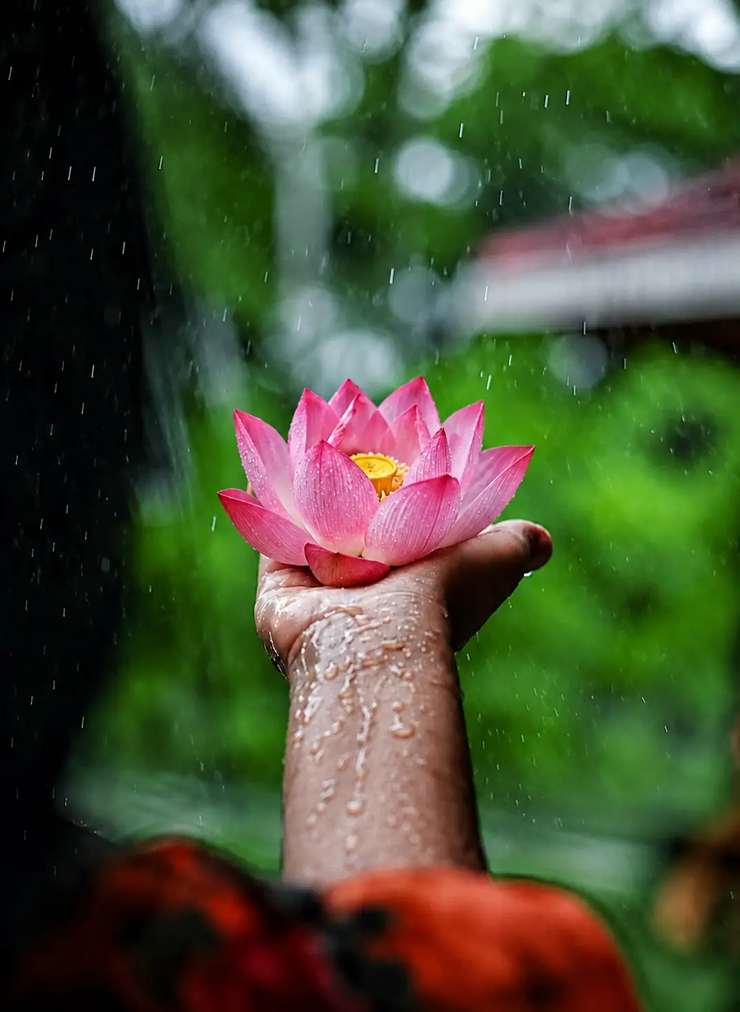 Monsoon Family Escape
