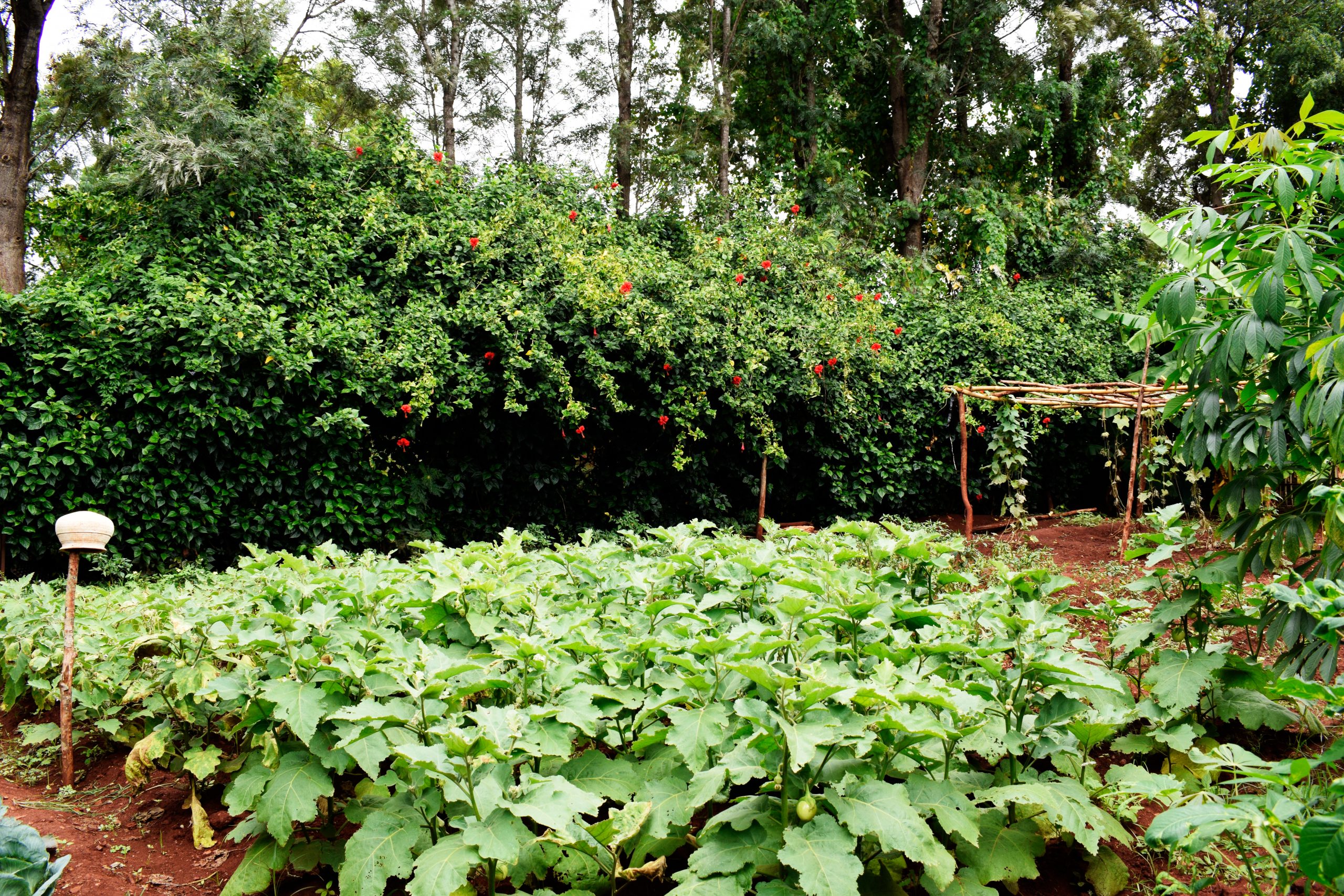 Facilities